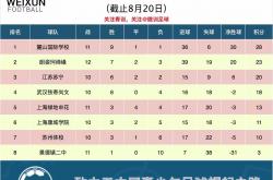 开云体育平台-人和客场击败天津泰达，提升排名的简单介绍